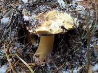 20161126_144137.jpg