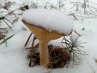 20161126_135958.jpg