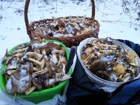 20161126_154357.jpg