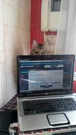 0-02-05-8ea383fab9c2b5404fbf246b5e8c905d2b957d7f11d7e05e714ae608e1ae188a_full.webp