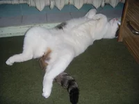 DSCN4657.webp