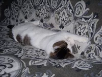 DSCN0212.webp
