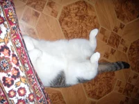 DSCN4385.webp