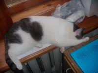 DSCN4456.webp