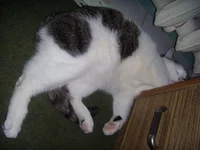 DSCN4652.webp