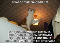 .webp