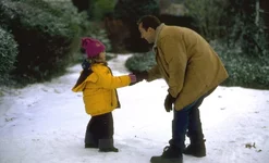 384582.webp