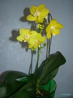 DSC00968_.webp