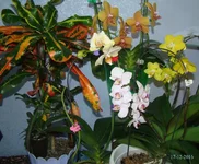 DSC00955_.webp