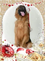 photo 1711 19-26-36.webp