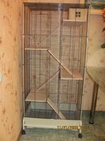 IMG_0215.jpg