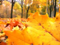 IMG_3292_filtered2.webp