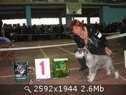 4dp28DRwSC.webp