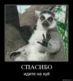 mfuxazurjfzr.webp