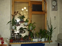 P1010018.webp