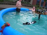 Водяной щиток.jpg