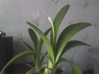 07-09-09_1547.webp 07-09-09_1547.webp