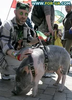 Victory_07.webp