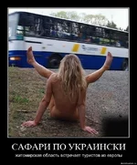 .webp