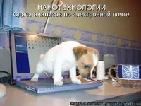 s3img_4987759_21679_1.jpg