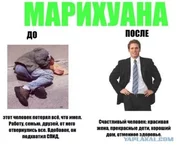 post-3-12590465531420.webp