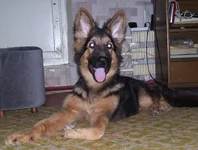 100_8464.webp
