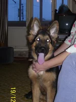 100_8453111.webp