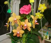 DSC01000_.webp