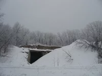 IMG_5822.jpg
