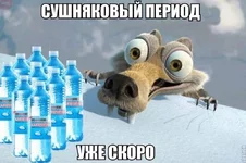15803668_1801826983402370_887074513726996480_n.webp
