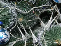 DSCN0114.jpg