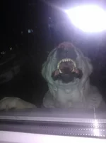 WP_000229.webp
