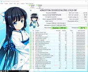 11.webp