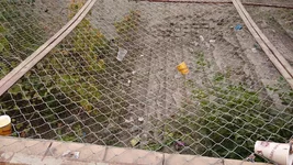 DSC_2599.webp