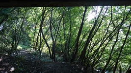 DSC_3252.webp