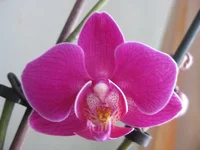 IMG_8909_1.webp