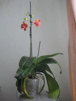 IMG_8913+1.webp