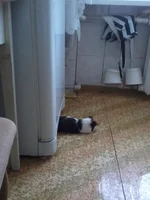 20150409_175248.webp