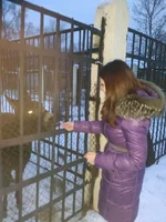 img1452191817479.webp