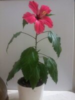 20150716_211913.jpg