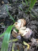 20160518_131554.webp