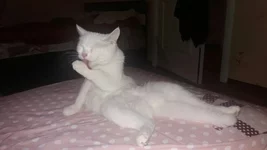 zVctyndArJY.webp
