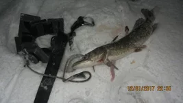 Андреевка 12.01.17 024.jpg