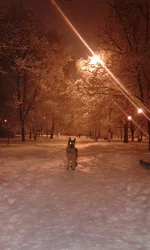 20170115_212834.webp