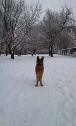 20170116_111610.webp