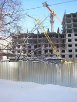 DSCN8557.webp