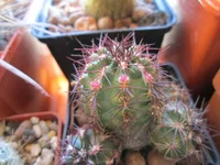 IMG_4955.webp