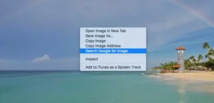 Screen Shot 2017-01-22 at 10.49.42 PM.webp