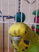 20170114_120900.webp