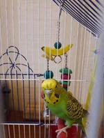 20170114_120839.webp